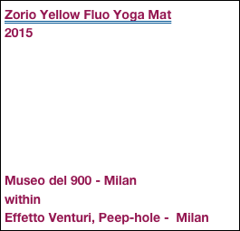Zorio Yellow Fluo Yoga Mat
2015







Museo del 900 - Milan
within
Effetto Venturi, Peep-hole -  Milan